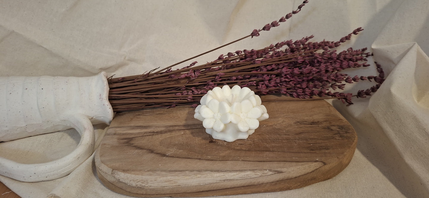 Flor de Cerezo